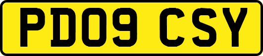PD09CSY