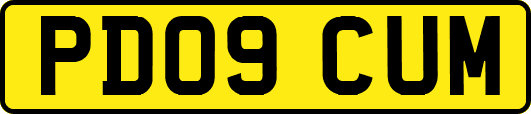 PD09CUM