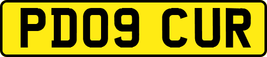 PD09CUR