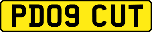 PD09CUT