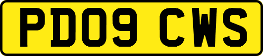 PD09CWS