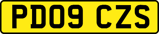 PD09CZS
