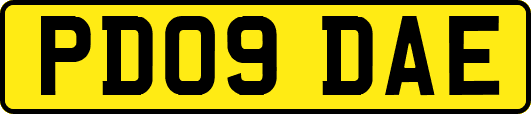 PD09DAE