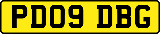 PD09DBG