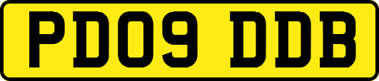 PD09DDB
