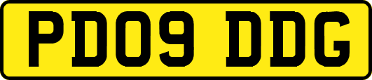 PD09DDG