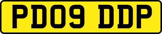 PD09DDP