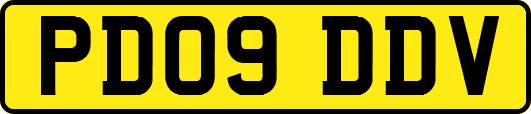 PD09DDV