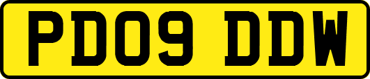 PD09DDW
