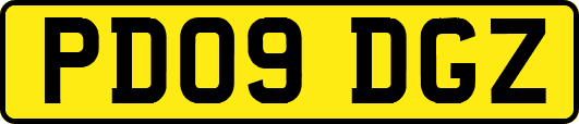 PD09DGZ