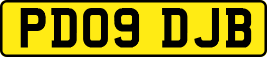 PD09DJB