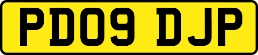 PD09DJP