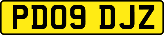 PD09DJZ