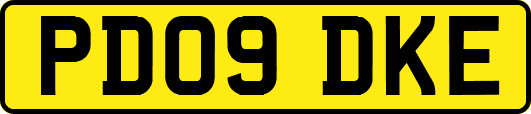 PD09DKE