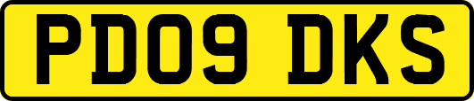 PD09DKS