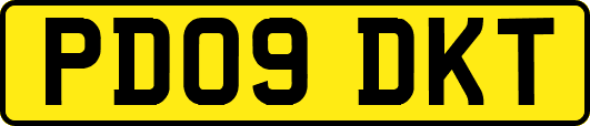 PD09DKT