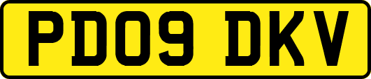 PD09DKV