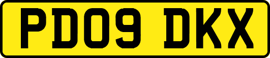 PD09DKX