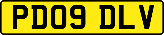 PD09DLV