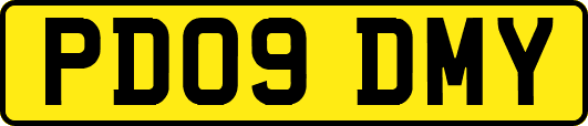 PD09DMY