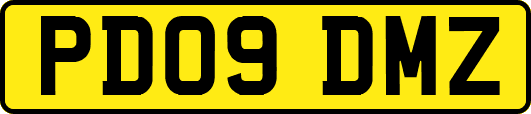 PD09DMZ