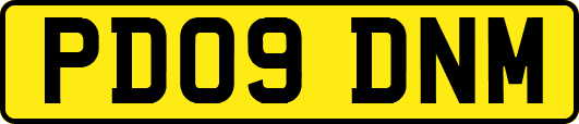 PD09DNM
