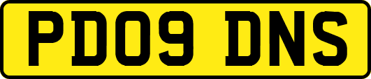 PD09DNS