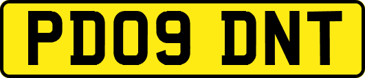 PD09DNT