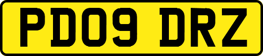 PD09DRZ