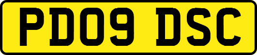 PD09DSC