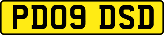 PD09DSD