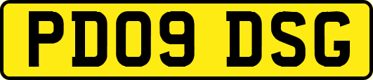 PD09DSG