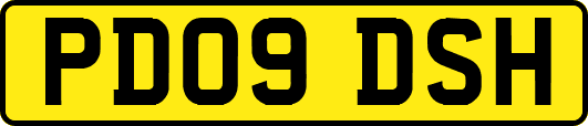 PD09DSH