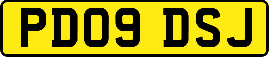 PD09DSJ