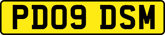 PD09DSM