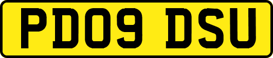 PD09DSU