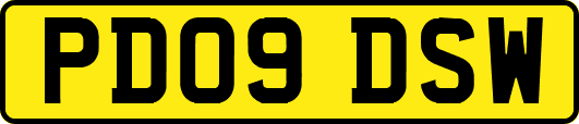 PD09DSW