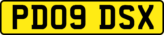 PD09DSX