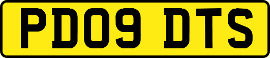 PD09DTS