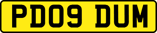 PD09DUM