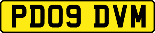 PD09DVM