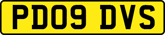 PD09DVS