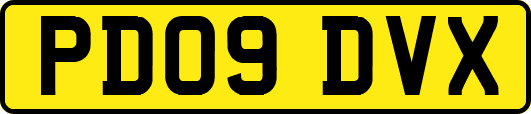 PD09DVX