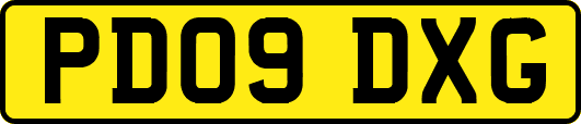 PD09DXG