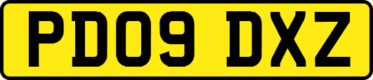 PD09DXZ