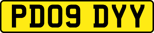 PD09DYY