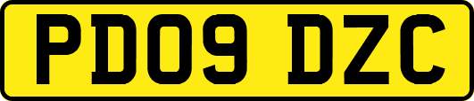 PD09DZC