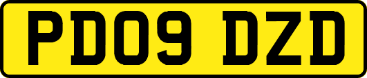 PD09DZD