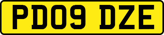 PD09DZE