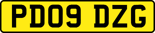 PD09DZG